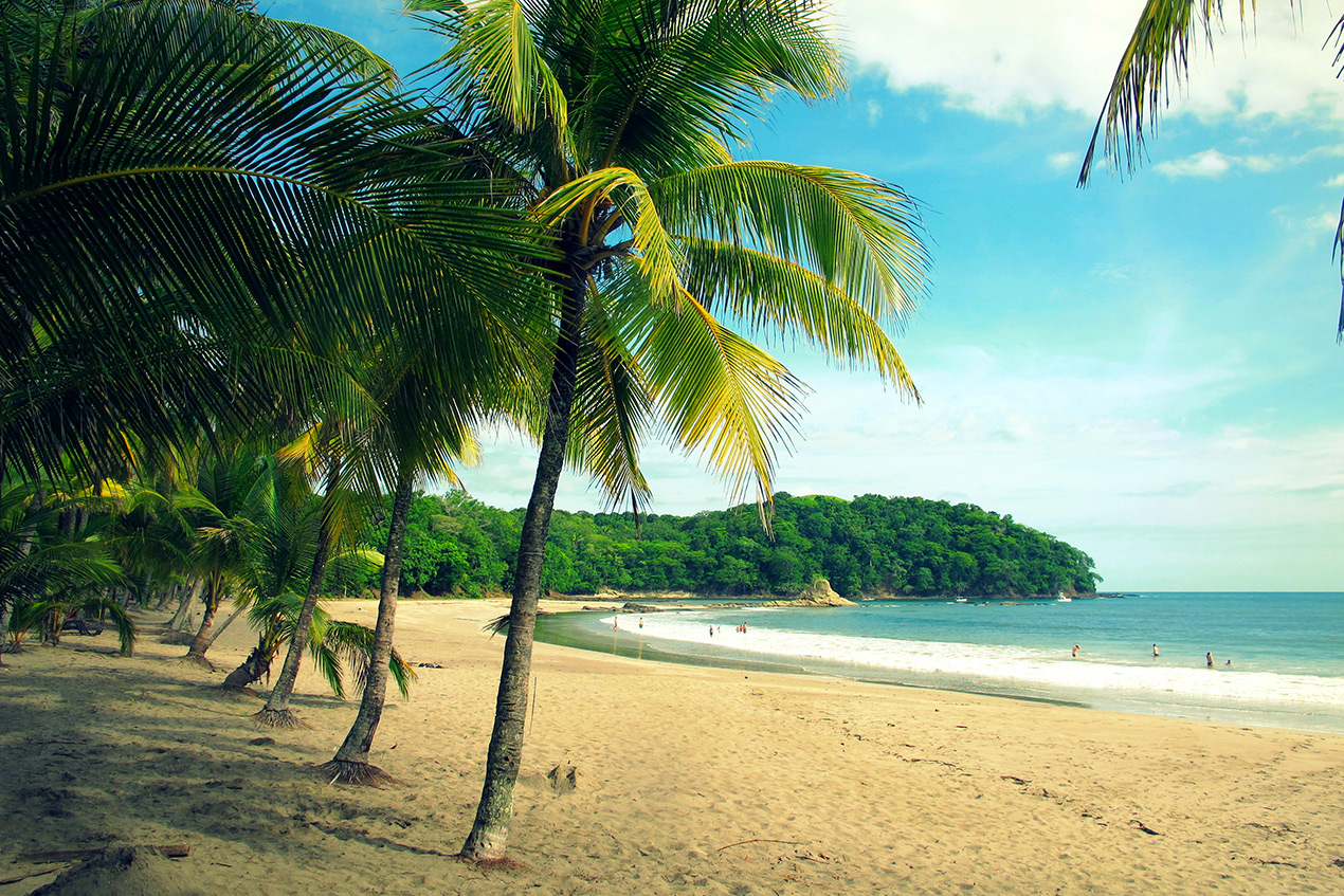 Costa Rica 2023 palm trees swaying on beach