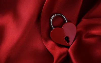 Nothing Shows Your Love Like Providing Security